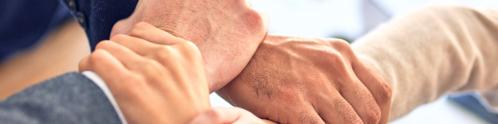 Magnolia Software Partner Program: Elevating Your Success Together